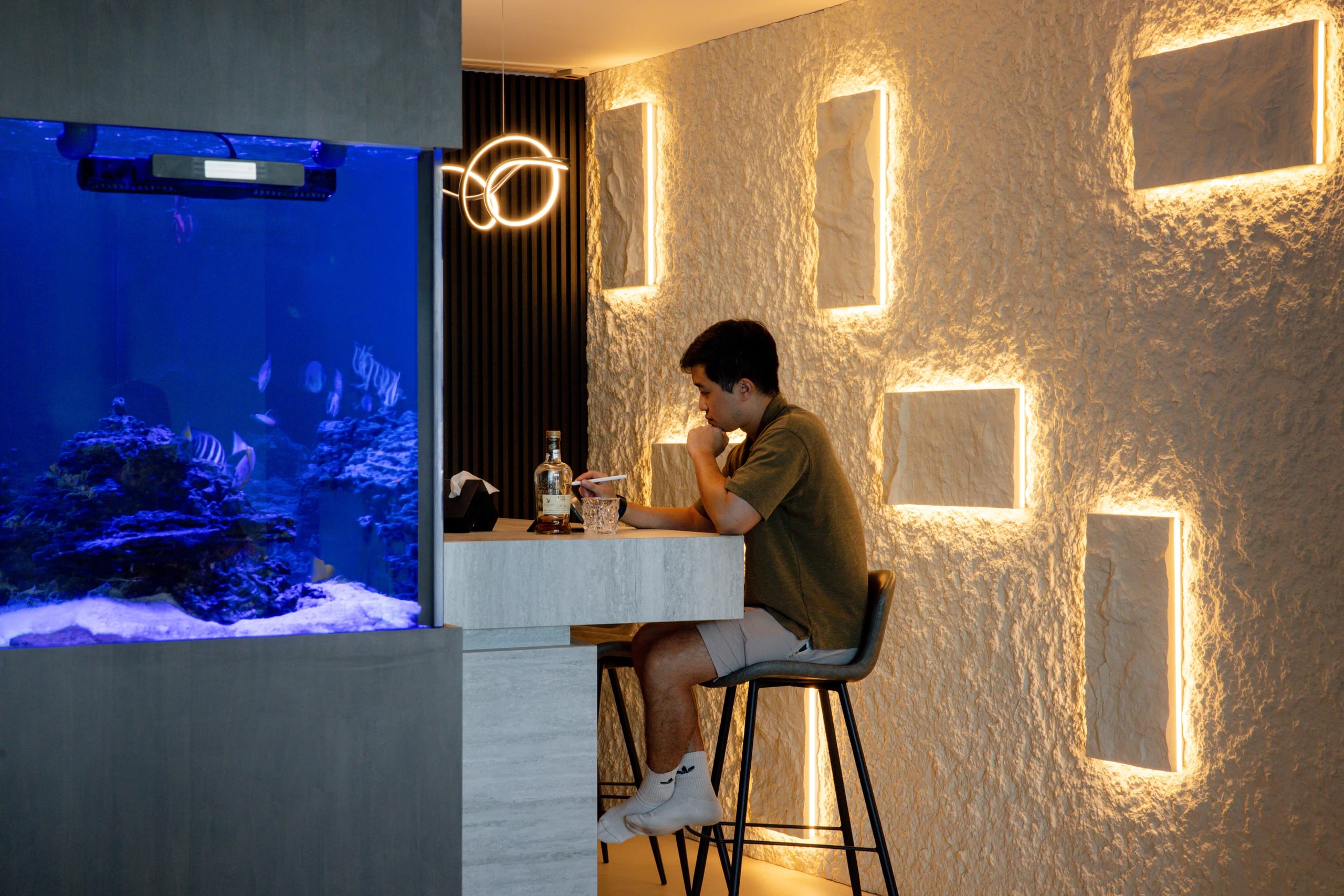 Aquarium and feature wall